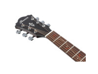 Ibanez AE275-DBF Ibanez AE275-DBF